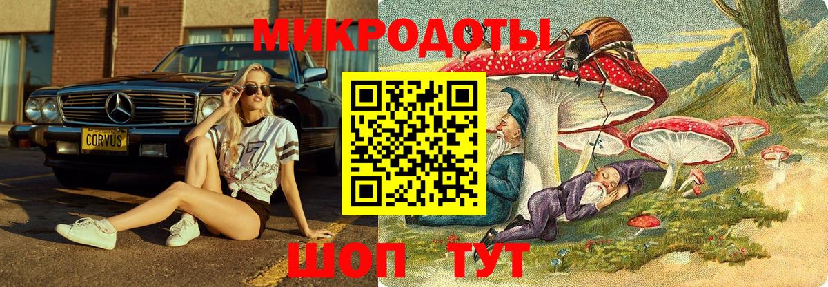 Псилоцибиновые грибы прущие грибы Видное